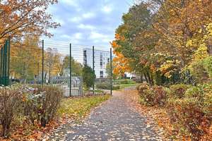 Property thumbnail 8