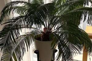 Property thumbnail 6