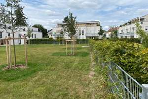 Frühlingserwachen mit großem Gartenanteil – Truderinger Straße 346, 81825 Gartenstadt Trudering, München – Vorschaubild 3