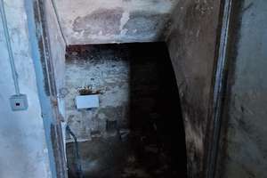 Bauernhof mit Charme und idyllischer Lage – seltene Gelegenheit – Waldstraße 19, 71254 Ditzingen – Vorschaubild 33