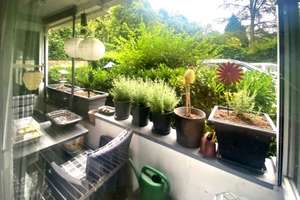 Property thumbnail 7