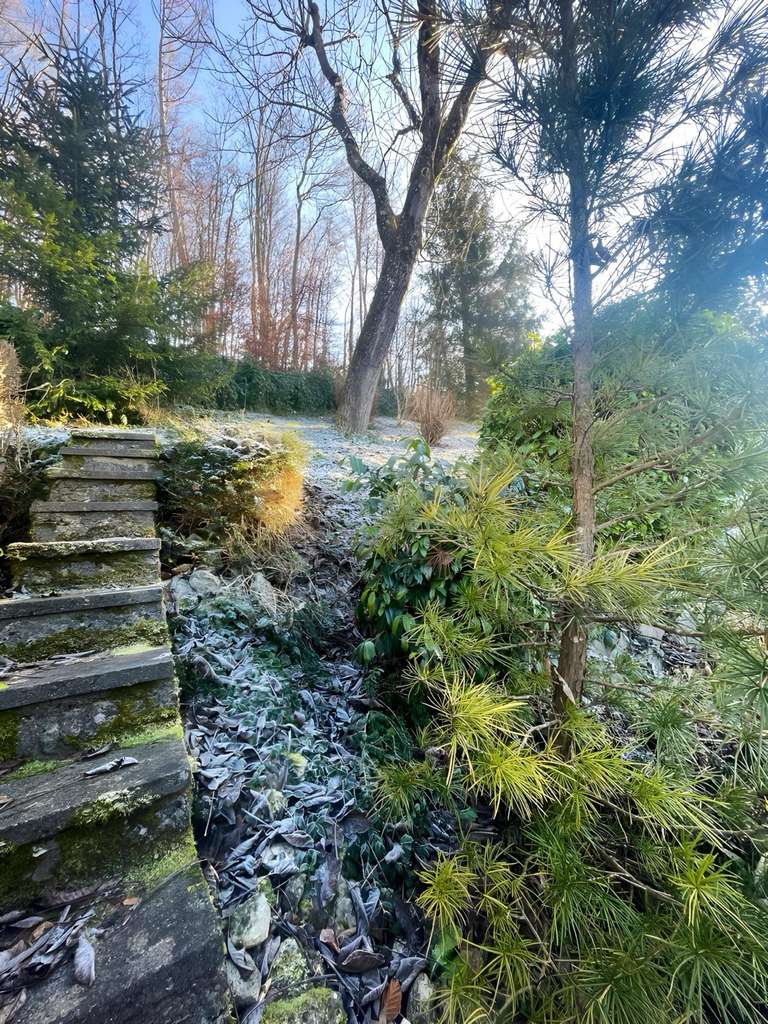 Immobilie in Lörrach - EFH mit ELW! Traumhafte Aussicht und viel Potenzial! - Bild 2