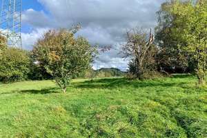 TOP Gelegenheit ! Landwirtschaftlicher Hof inkl. ca. 8,5 ha Ländereien – Die vollständige Adresse der Immobilie erhältst du vom Anbieter., 42399 Langerfeld-Beyenburg, Wuppertal – Vorschaubild 6