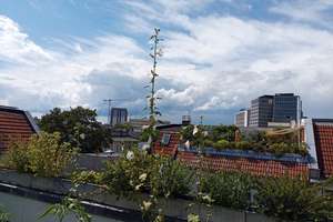 Einzigartiges 4,5 Zi. DG Kudamm, große SW-Terrasse, Balkon provisons- und bezugsfrei – Die vollständige Adresse der Immobilie erhältst du vom Anbieter., 10789 Charlottenburg, Berlin – Vorschaubild 7