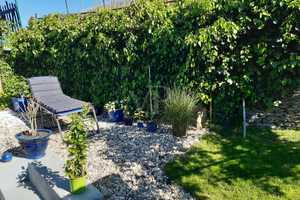 Willkommen Welkom, Welcome an der schönen Mosel!!! Dein neues Urlaubsparadies wartet auf Dich!!! – Bernkastel-Wittlich (Kreis) – Vorschaubild 26
