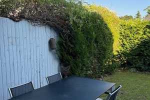 Reihenendhaus in schöner Wohnlage von Sandweier – Baden-Baden – Vorschaubild 8