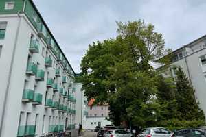 Exklusive, möblierte 1 ZKB Stadtzentrum/Rotes Tor mit Balkon, provisionsfrei, neuwertig – Friedberger Straße 3, 86161 Augsburg – Vorschaubild 5