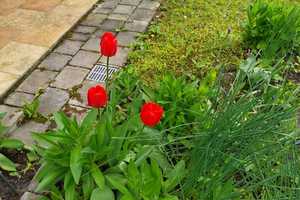 Natur pur mit Stil und Substanz – Ebersberg (Kreis) – Vorschaubild 27
