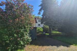Frisch kernsaniertes Zuhause im Grünen – ideal für Familien, Naturliebhaber, Senioren – Hüttenmühle 2, 34593 Knüllwald – Vorschaubild 14
