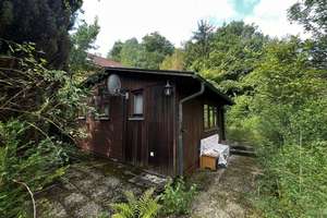 Freizeit-Grundstück in der Natur – Schweppermannstraße 16, 92280 Kastl – Vorschaubild 2