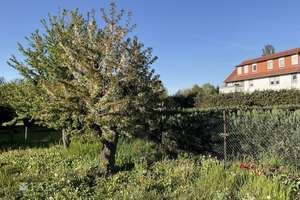 Fachwerkhaus zum Ausbauen in 38835 Veltheim – Die vollständige Adresse der Immobilie erhältst du vom Anbieter., 38835 Aue-Fallstein – Vorschaubild 28