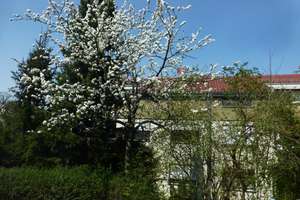 direkt am Waldrand: 4-Zi.-Wohnung in S-Feuerbach, Hohe Warte – Thomas-Mann-Straße 84, 70469 Hohe Warte, Stuttgart – Vorschaubild 14