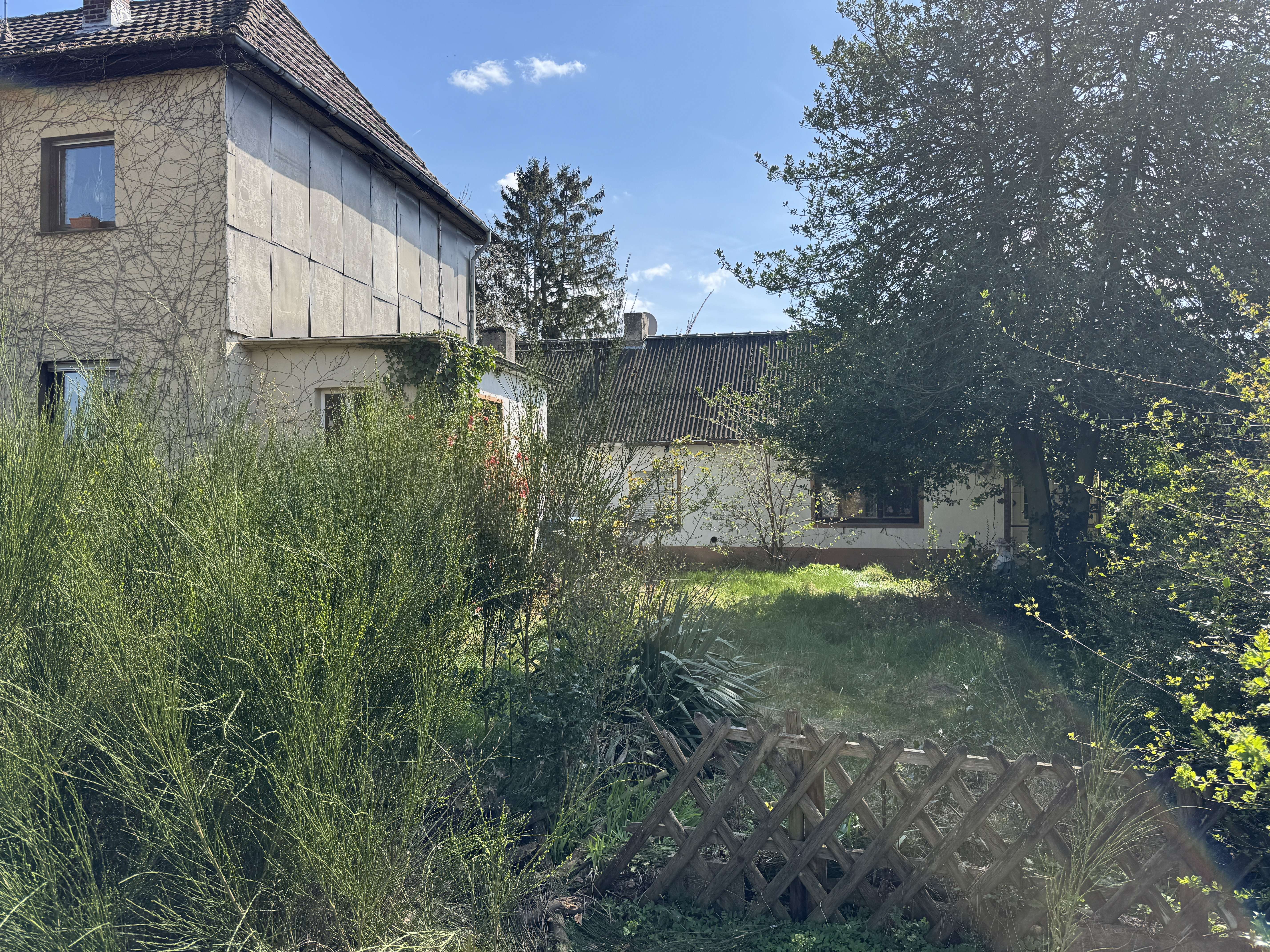 EFH zur Entkernung oder Abriss, auf schönem Grundstück in Niederau zu verkaufen, Düren Kreis – Bild 4