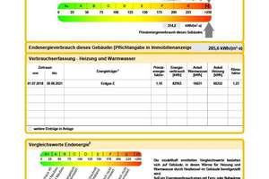 Erstklassiges Panorama Penthouse & renditestarke Anlageimmobilie -4 Ärztehaus- Bestlage HD-Neuenheim – Die vollständige Adresse der Immobilie erhältst du vom Anbieter., 69120 Neuenheim, Heidelberg – Vorschaubild 10