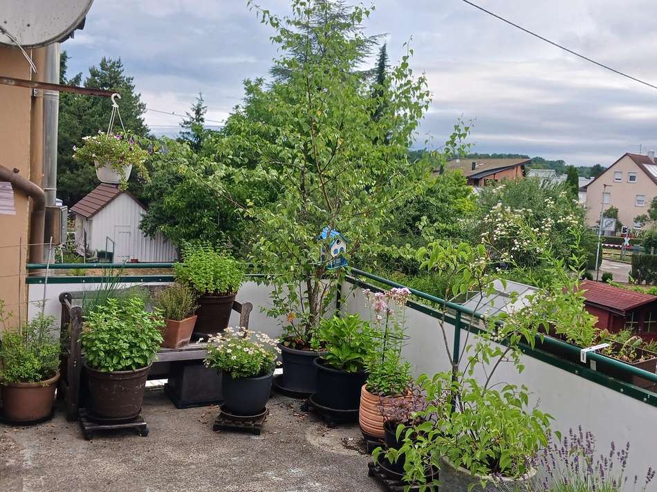 Balkon