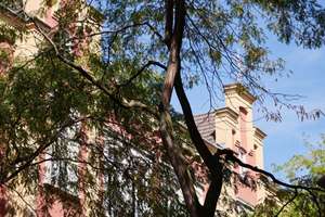 Property thumbnail 28