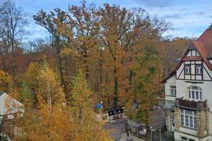 Property thumbnail 18