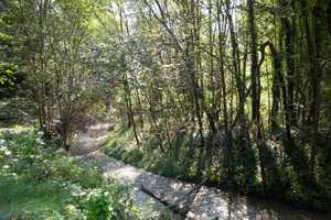 Villa der Künste und Sinne - fast alleine an einem Wildbach – Am Urtlgraben 1, 83536 Mühldorf am Inn (Kreis) – Vorschaubild 18