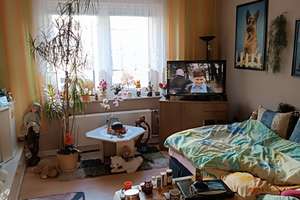 Schönes Appartement zur Kapitalanlage in Essen - Holsterhausen – Die vollständige Adresse der Immobilie erhältst du vom Anbieter., 45147 Holsterhausen, Essen – Vorschaubild 5