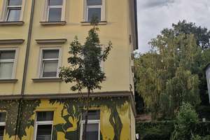Bezugsfreie 2-Zimmer-Dachgeschosswohnung im Hechtviertel Dresden inkl Parkplatz – Buchenstraße 22, 1097 Leipziger Vorstadt, Dresden – Vorschaubild 7