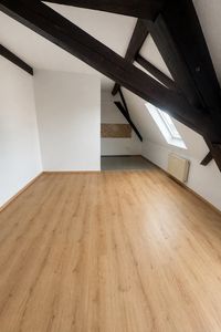 Gemütliches 1-Zimmer-Apartment in zentraler Lage von Schifferstadt