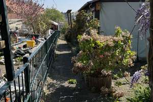 Reihenmittelhaus mit Garten, Garage & Potenzial in ruhiger Lage – Friederich Platz 34, 41836 Hückelhoven – Vorschaubild 5