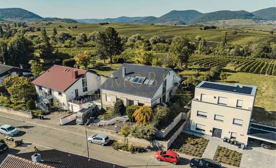 Unbezahlbarer Blick - Unverbaubare Lage - Wohnen am Weinberg -  E I N M A L I G