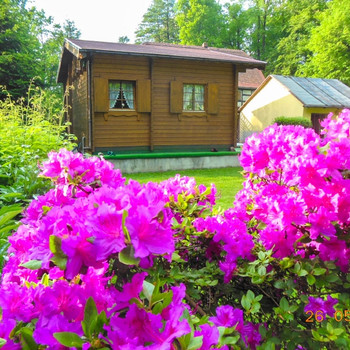 Idylle am Schlosspark!