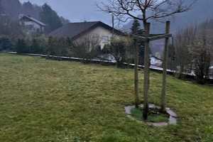 Sehr gepflegtes und modernes 3 Familienhaus in Bad Herrenalb-Bernbach – Bad Herrenalb, Calw (Kreis), 76332 Calw (Kreis) – Vorschaubild 40