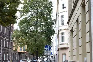 Renoviertes Dreikönigen-Veedel-Haus mit 70 m²-Wohnung bezugsfrei – Köln – Vorschaubild 1