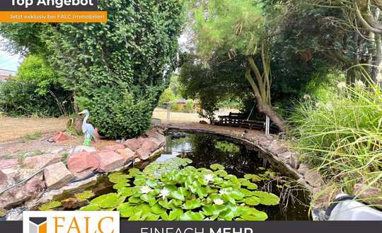 Mehrfamilienhaus mit großem Garten und Pool zum Schnäppchen Preis!