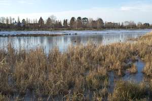 Property thumbnail 27