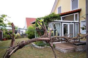Modernes energieeffizientes Einfamilienhaus mit großem Garten – Die vollständige Adresse der Immobilie erhältst du vom Anbieter., 96132 Schlüsselfeld – Vorschaubild 74