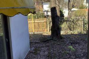 Großzügige DHH mit  Anbau, Südgarten und viel Platz für Kreative – Die vollständige Adresse der Immobilie erhältst du vom Anbieter., 80689 Blumenau, München – Vorschaubild 31