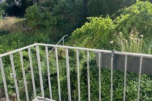 Gartentraum in Regensburg ! Grüne 1 Zimmer-Balkon-Wohnung in guter Lage