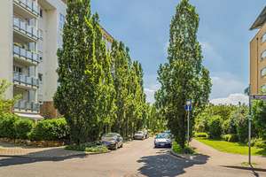 Möblierte Wohnung auf Zeit zu vermieten: – 60486 Bockenheim, Frankfurt am Main – Vorschaubild 37