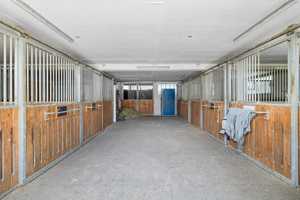 Einzigartige Möglichkeit! Traumhaft Leben auf dem eigenen Pferdehof mit Reithalle und Außenfläche – Alb-Donau-Kreis – Vorschaubild 8
