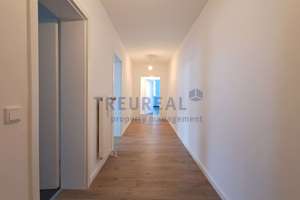 Viel Platz zum Wohlfühlen – mitten im Zentrum von Darmstadt – Hügelstraße 26, 64283 Mitte, Darmstadt – Vorschaubild 3