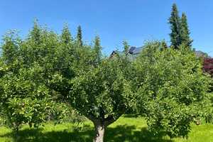 Property thumbnail 29