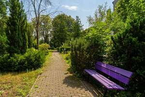 Vermietete 3-Zimmerwohnung nahe Volkspark Humboldthain – Neue Hochstraße 18, 13347 Gesundbrunnen, Berlin – Vorschaubild 9