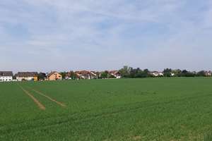 Helle 3-4 Zimmer DG-Maisonette-Wg. MA-Friedrichsfeld-Richtg. Heidelberg -teilrenoviert- Kaufoption! – 68229 Friedrichsfeld, Mannheim – Vorschaubild 38