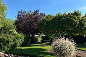 Gepflegt und anspruchsvoll - Bungalow in Forst/Lausitz – Spree-Neiße (Kreis) – Vorschaubild 7