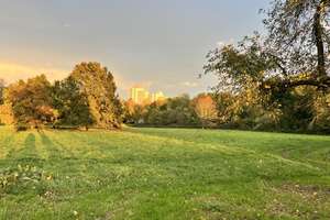 Property thumbnail 21