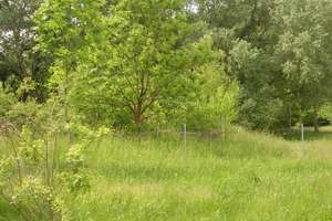 Baugrundstück mit Geschichte und positiver Bauvoranfrage! – Die vollständige Adresse der Immobilie erhältst du vom Anbieter., 99095 Stotternheim, Erfurt – Vorschaubild 3
