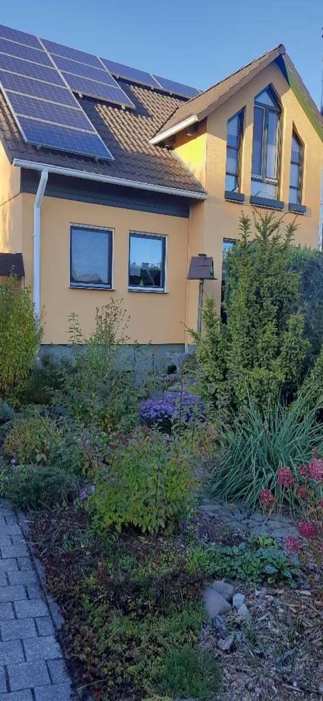 Immobilie in Calau - Ruhig gelegenes Einfamilienhaus mit Einliegerwohnung in Calau - Bild 3