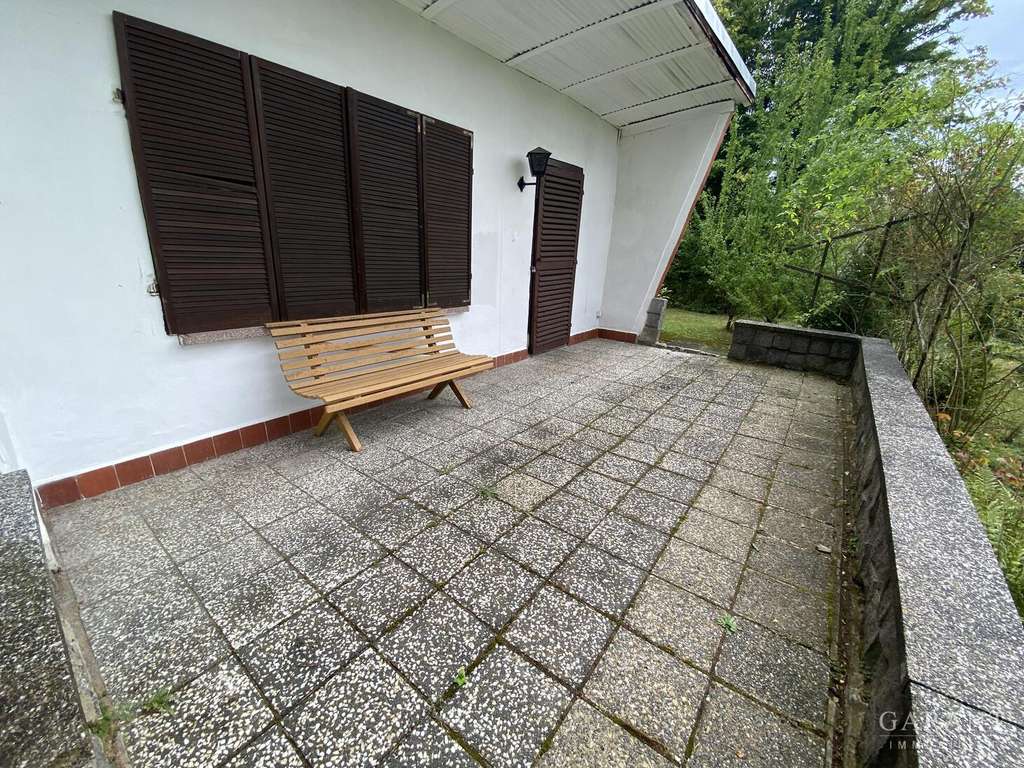 Immobilie in Colditz - Idyllisches Waldgrundstück mit Bungalow und Finnhütte nahe Grimma - Bild 1