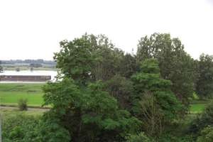 +++LICHTDURCHFLUTET UND RHEINBLICK +++