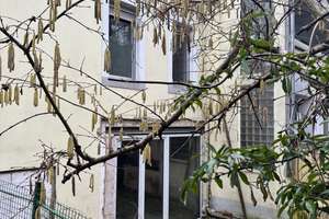 Sanierungsobjekt mit schönen Garten am Reppersberg ( Saarbrücken ) – Die vollständige Adresse der Immobilie erhältst du vom Anbieter., 66119 Alt-Saarbrücken, Saarbrücken – Vorschaubild 3