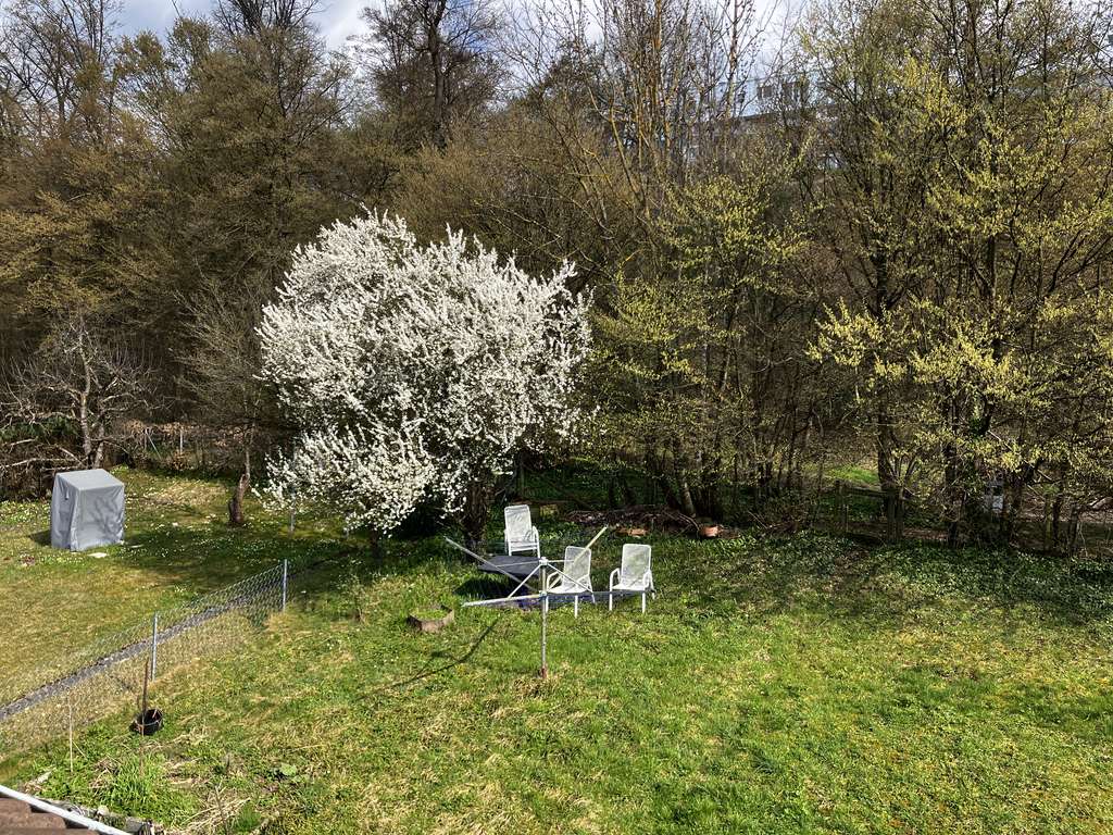 Immobilie in Wernau (Neckar) - ++ Traumhafte Atelierwohnung mit Fernblick und Dachloggia ++ - Bild 4