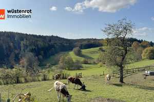 Ehemaliges landwirtschaftliches Anwesen mit großem Potenzial – Wohnen, Arbeiten und Natur genießen! – Ostalbkreis – Vorschaubild 7